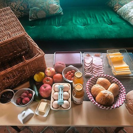 Jurty Z Widokiem, Prywatna Balia- Dzikolas Glamping Krasnobród エクステリア 写真
