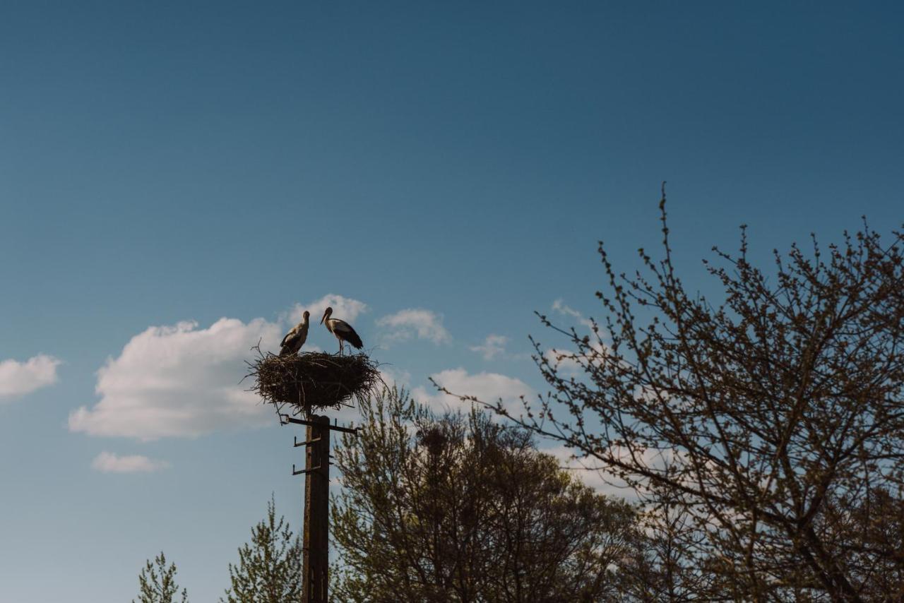Jurty Z Widokiem, Prywatna Balia- Dzikolas Glamping Krasnobród エクステリア 写真